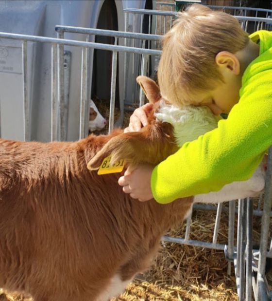 Ferienbauernhof Storchenhäusle: Junge mit Kälbchen